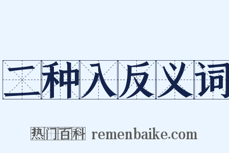 二种入反义词是什么意思的图片